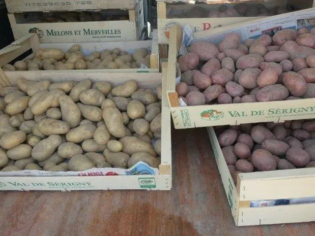Image à la une — Récolte de Pommes de terre 2019