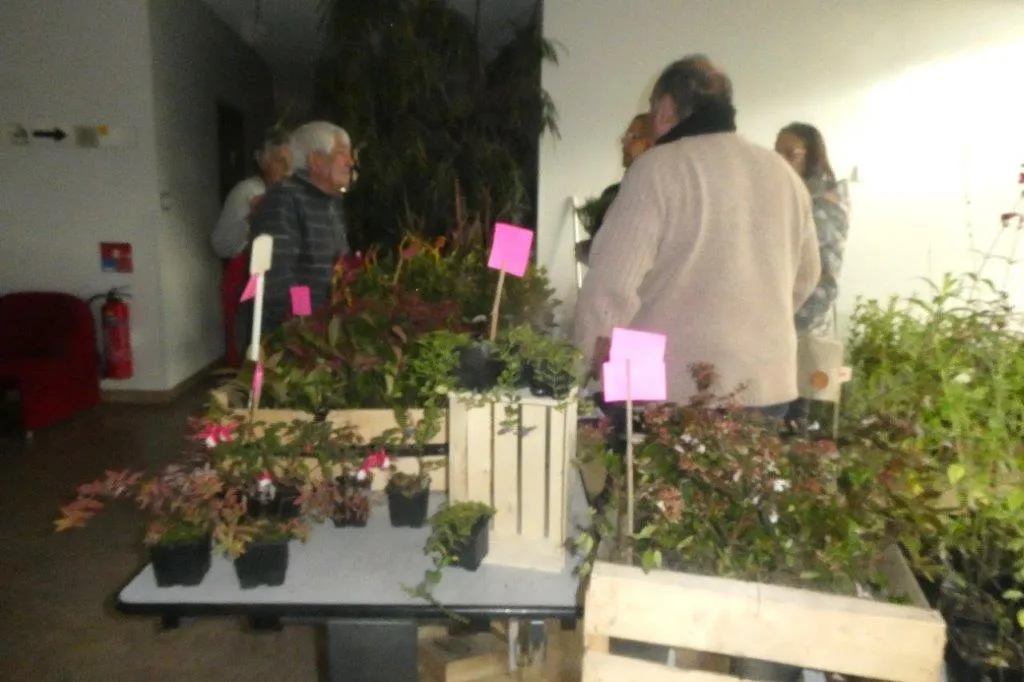 Image à la une — Fête d'automne 2023