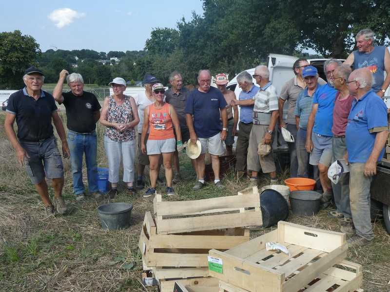 27 08 2019 recolte pommes de terre2